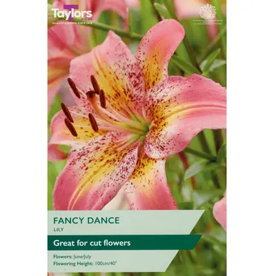 Taylors Lily Fancy Dance