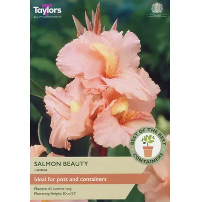 Taylors Best of the Best Canna Salmon Beauty
