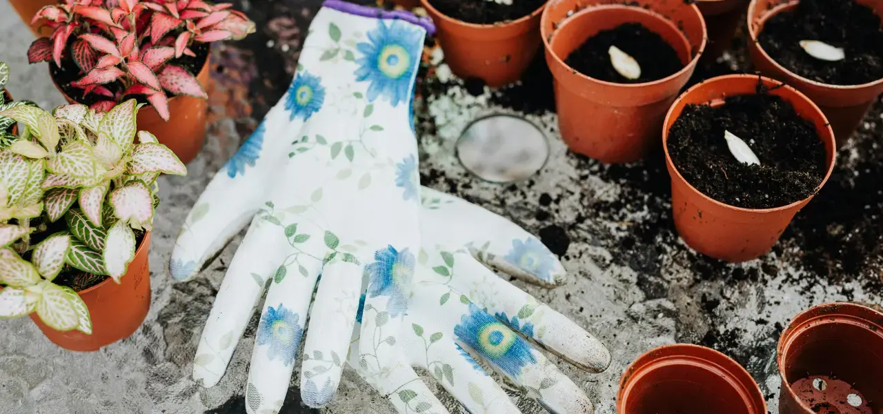 Jan Workshop #124167