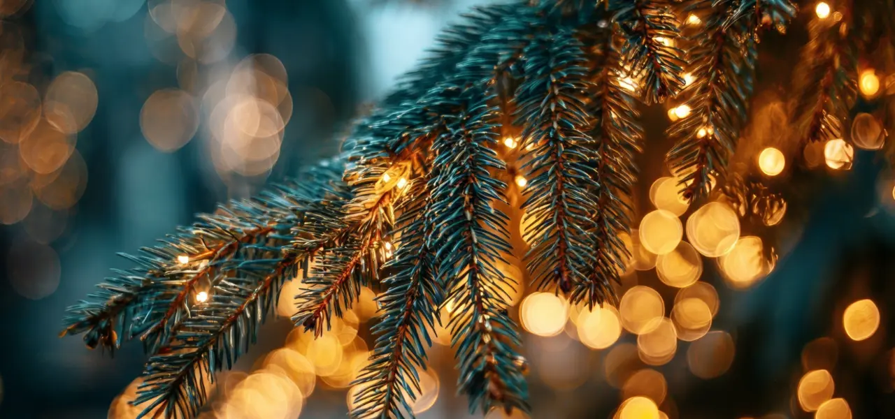 Light up a life #2c381b