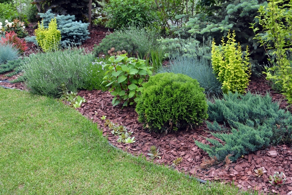 7 tips for low maintenance gardens