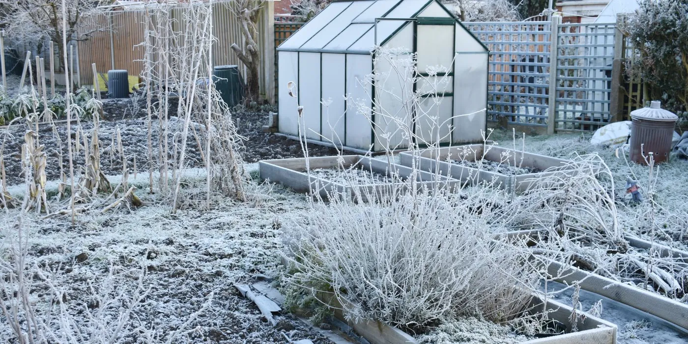 Get your greenhouse ready for Autumn and Winter