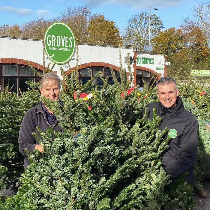 Groves Great Christmas Tree Appeal 2024