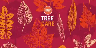 The Groves guide to tree care