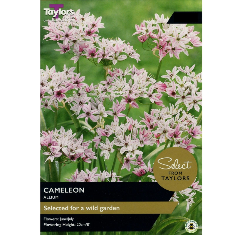 Taylors Select Allium Cameleon