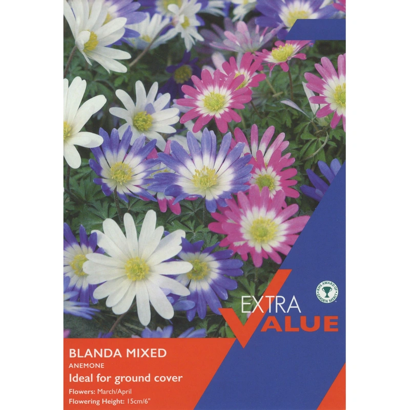 Taylors Extra Value Anemone Blanda Mixed