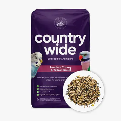 Bulk Feed: Deluxe Canary Mix 20kg