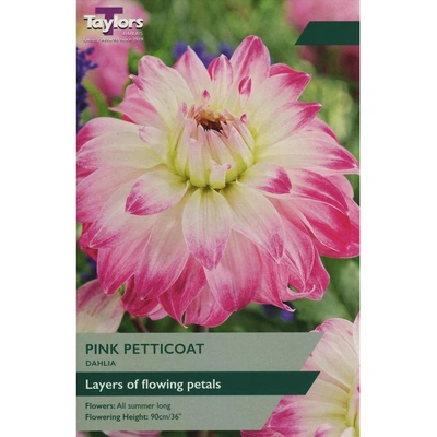 Taylors Dahlia Pink Petticoat