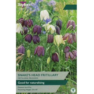 Taylors Fritillaria Meleagris Mixed