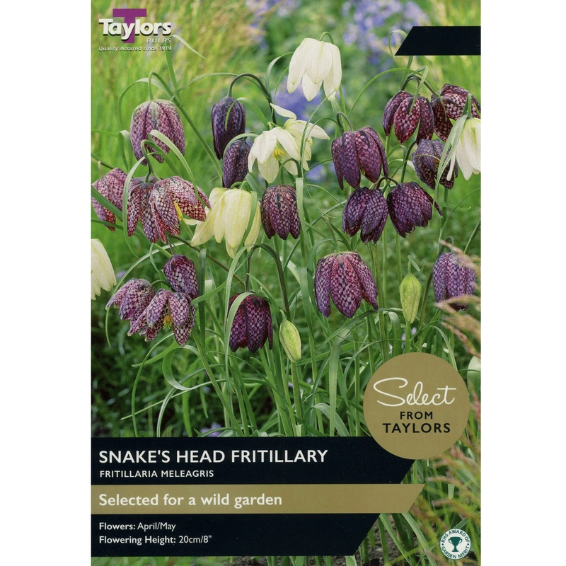 Taylors Select Fritillaria Meleagris