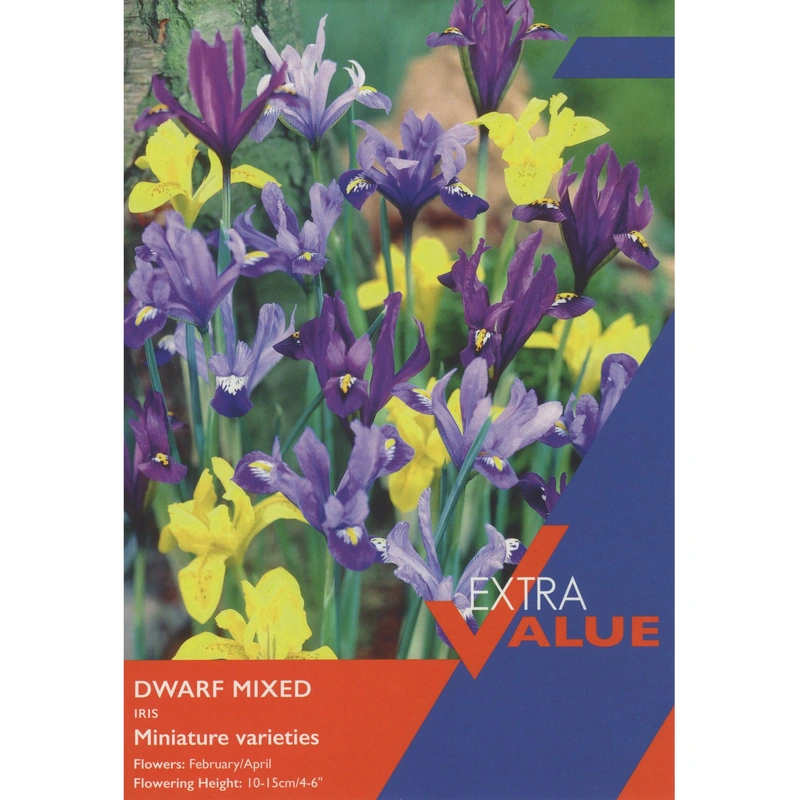 Taylors Extra Value Iris Dwarf Mixed