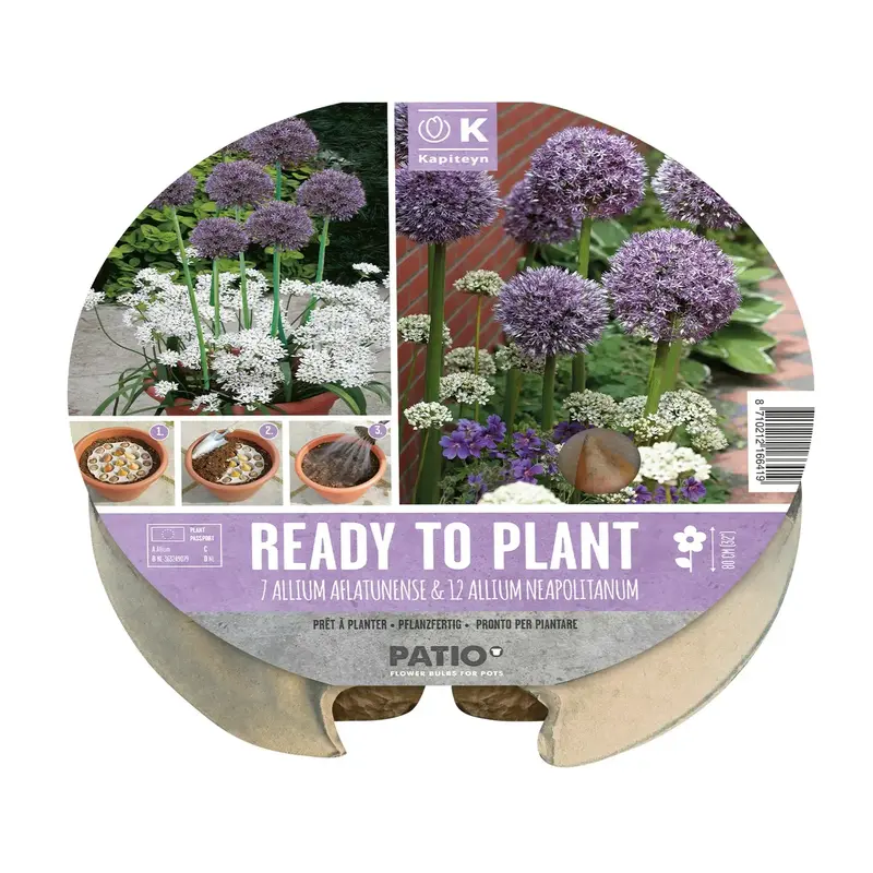 Kapiteyn Plant-O-Mat Tray Allium Varieties