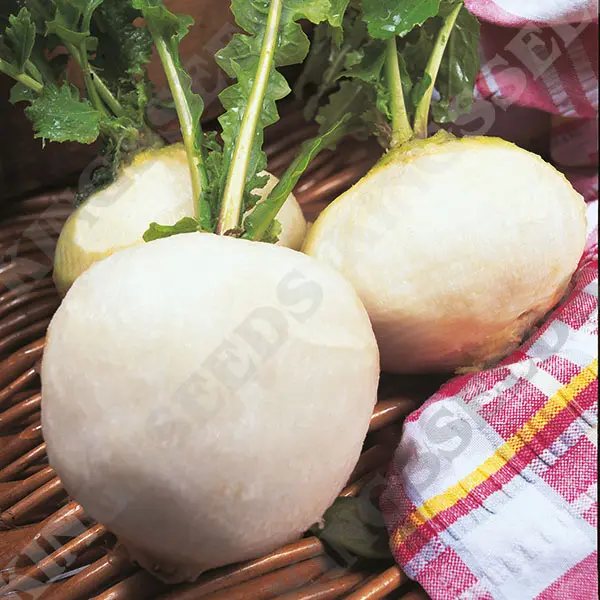 Kings Turnip Snowball Seeds