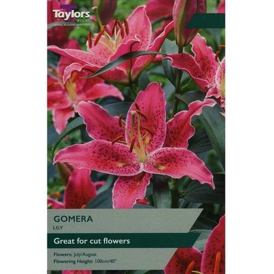 Taylors Lily Gomera