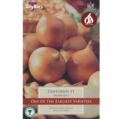 Loose Onion Sets Centurion (Price Per Kg)