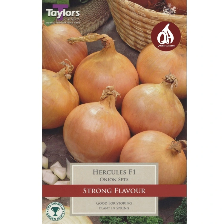 Loose Onion Sets Hercules (Price Per Kg)