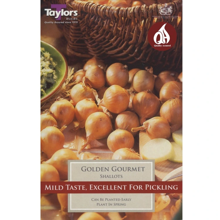 Loose Shallots Golden Gourmet (Price Per Kg)