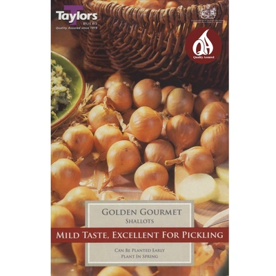 Loose Shallots Golden Gourmet (Price Per Kg)