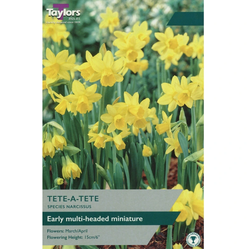 Taylors Species Narcissi Tete A Tete