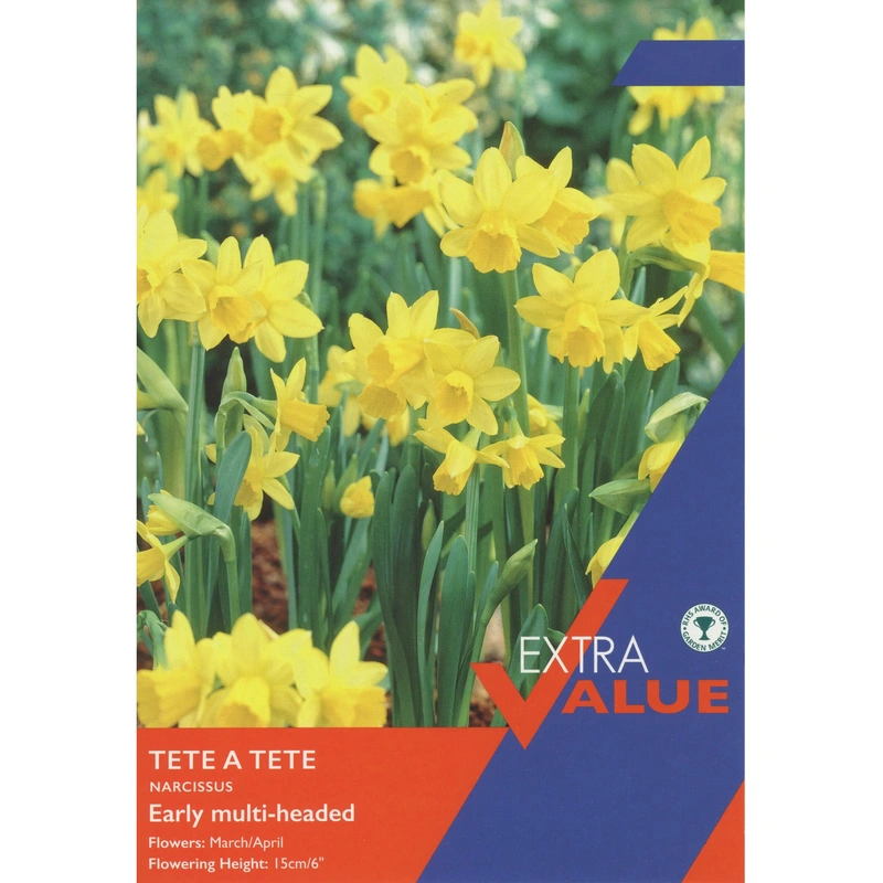 Taylors Extra Value Narcissi Tete A Tete