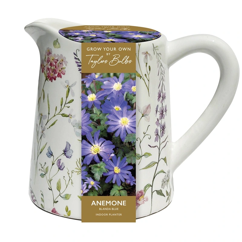 Taylors Gifts Ceramic Floral Jug Planter