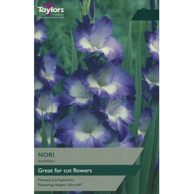 Taylors Gladioli Nori