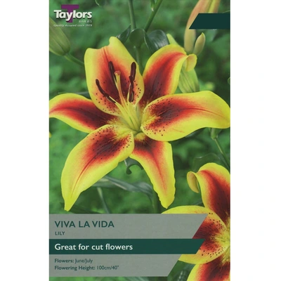 Taylors Lily Viva La Vida