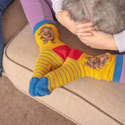 Wrendale Children's Socks Dachshund Size 6-8 - image 2