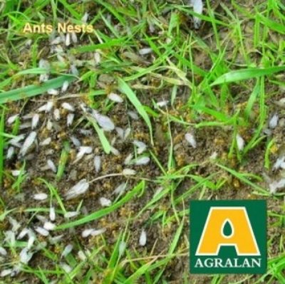 Agralan Ant Nest Nematodes up to 6 nests (BC140)