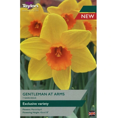 Taylors Narcissus Gentleman At Arms