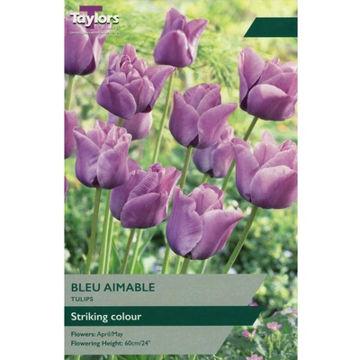 Taylors Tulip Bleu Aimable