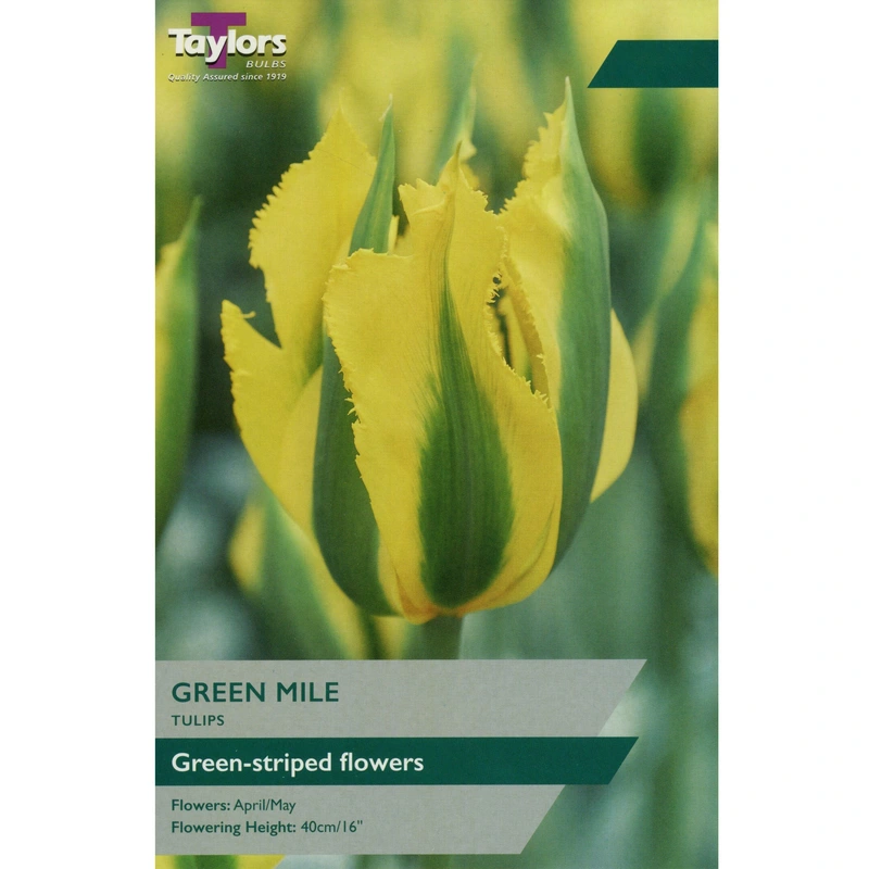 Taylors Tulip Green Mile