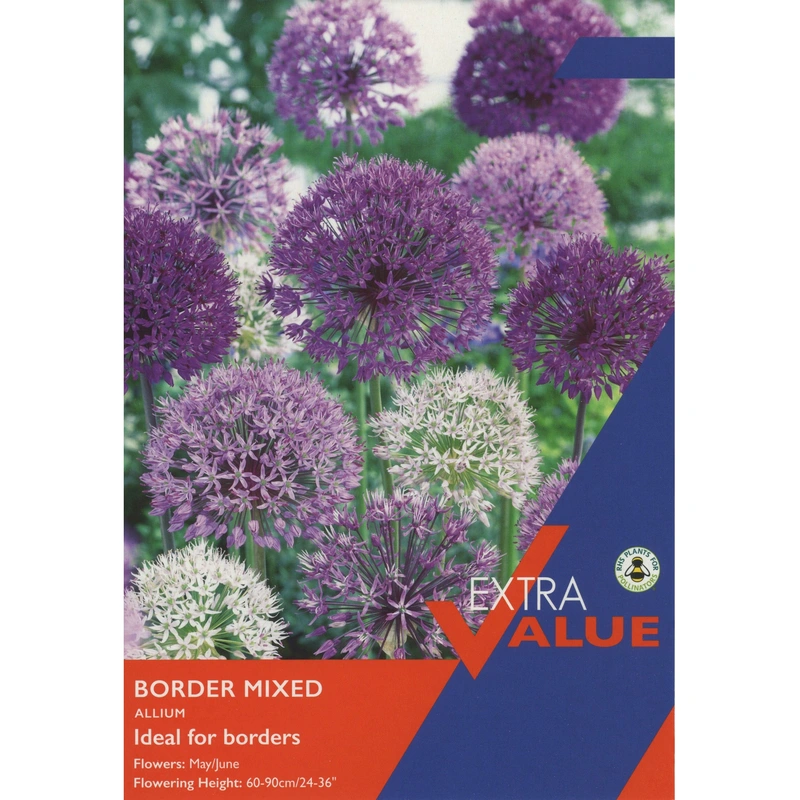 Taylors Extra Value Allium Border Mixed