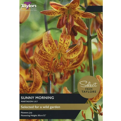 Taylors Select Lily Sunny Morning