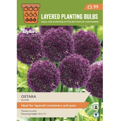 Taylors Layered Planting Allium Ostara