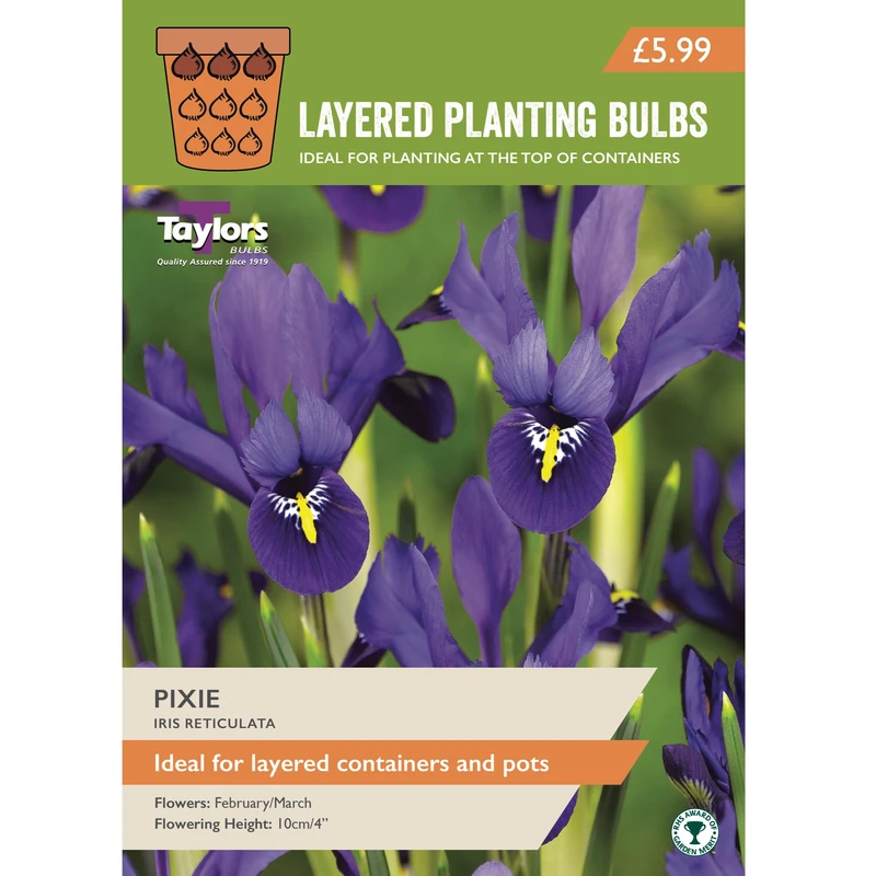 Taylors Layered Planting Iris Reticulata Pixie