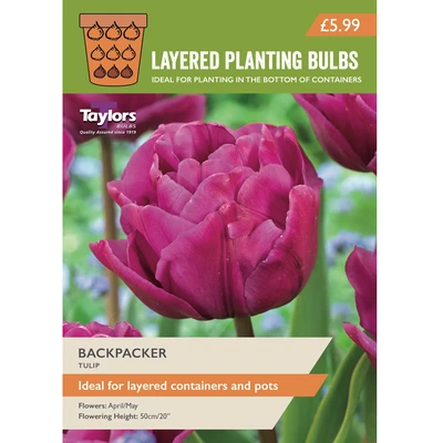 Taylors Layered Planting Tulips Backpacker