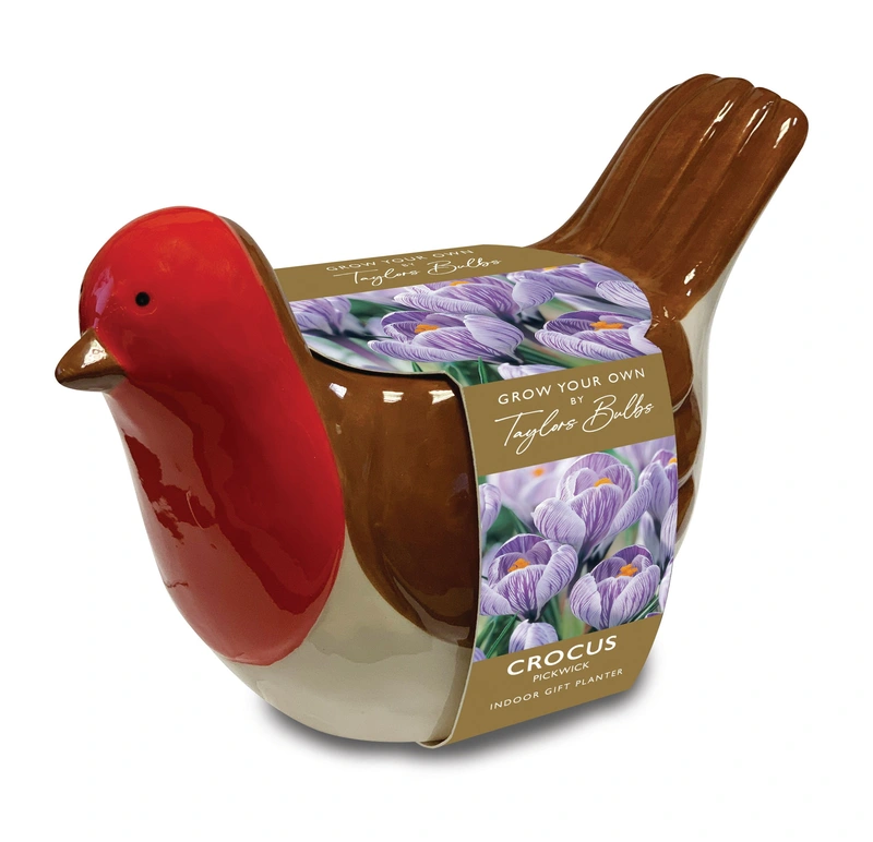 Taylors Indoor Novelty Robin Planter