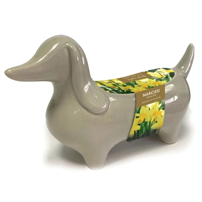 Taylors Indoor Novelty Sausage Dog Planter