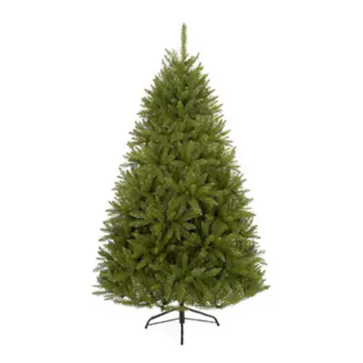 Premier California Spruce Tree 6ft