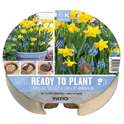 Kapiteyn Plant-O-Mat Tray Narcissus & Muscari