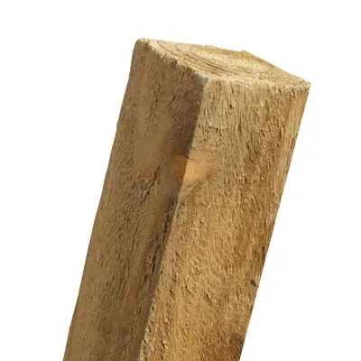 Zest 32mm Square Tree Stake 1.5m (5ft) - image 1