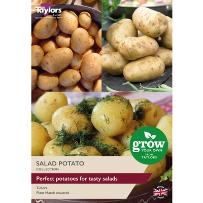 Salad Potato Collection