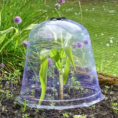 Smart Jumbo Bell Cloche