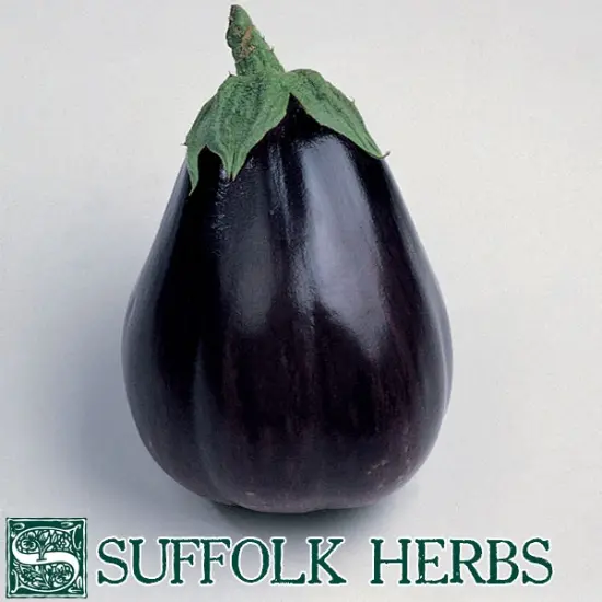 Suffolk Organic Aubergine Black Beauty Seeds