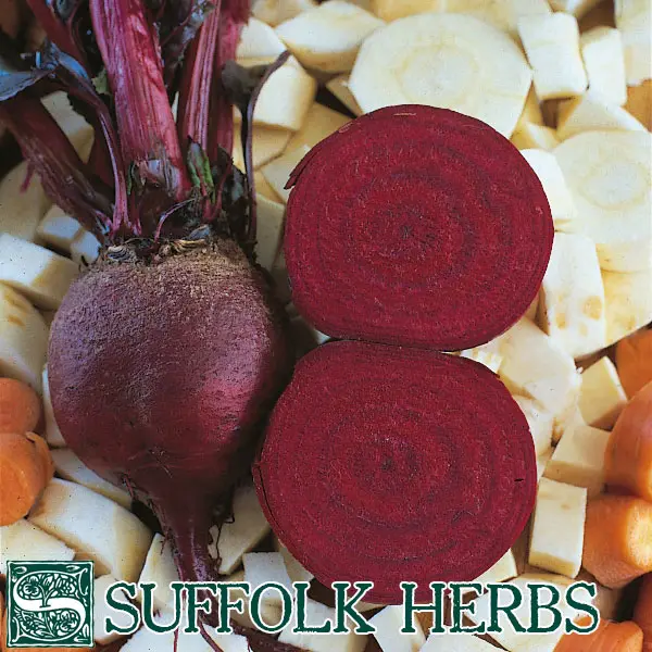 Suffolk Organic Beetroot Detroit Seeds