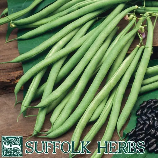 Suffolk Organic Climbing French Bean Cobra Seeds