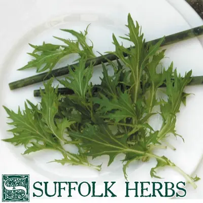 Suffolk Organic Oriental Mizuna