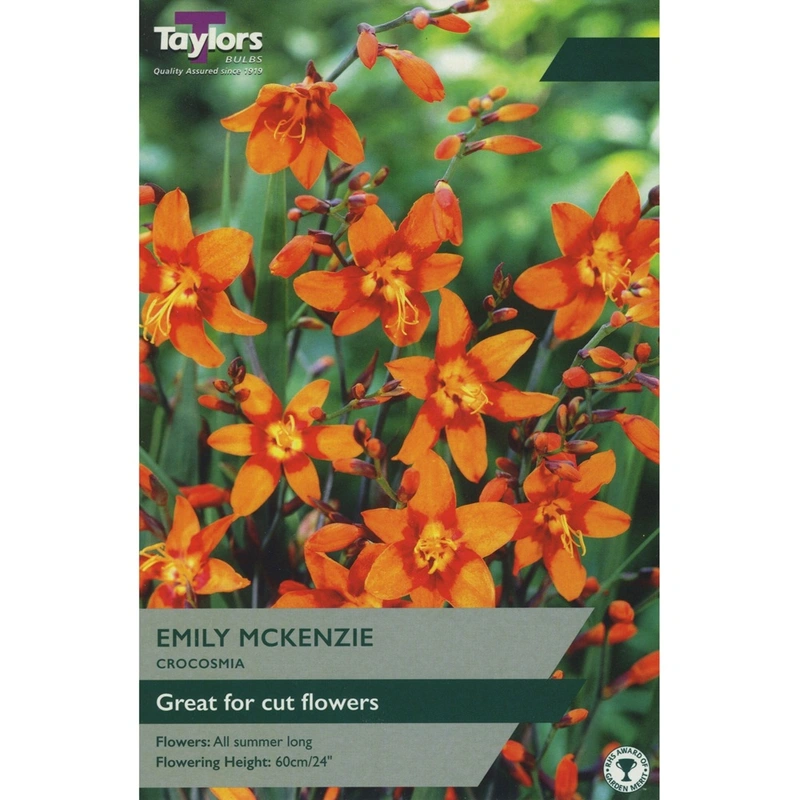 Taylors Crocosmia Emily Mackenzie