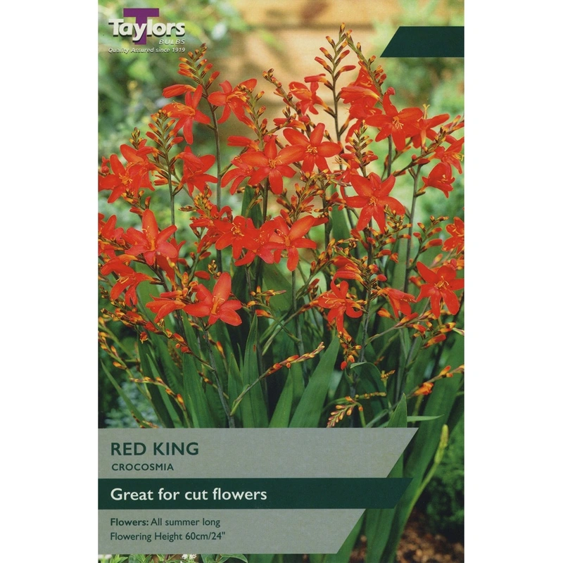 Taylors Crocosmia Red King